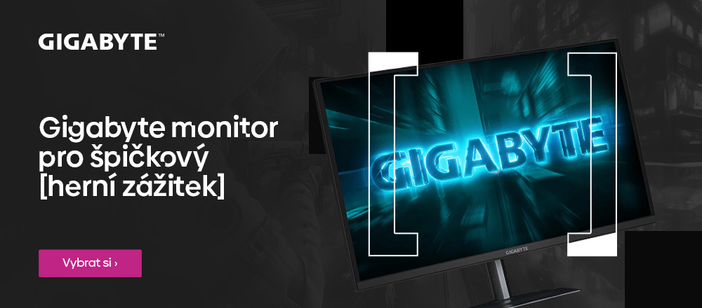 Gigabyte Monitor