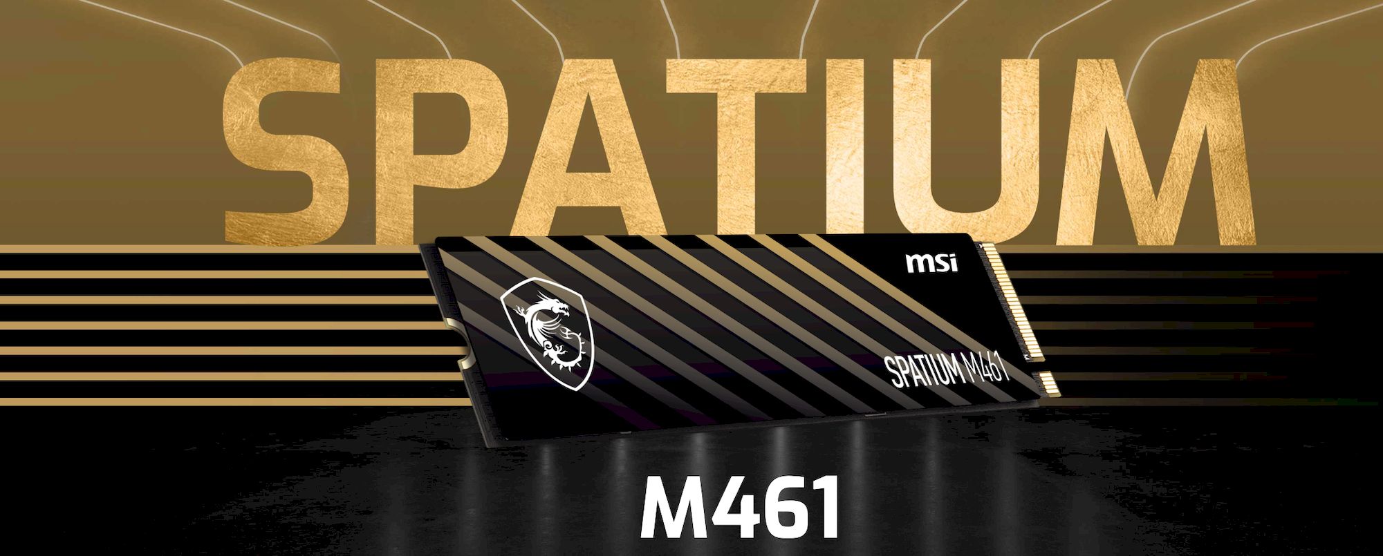 MSI SPATIUM M461 M.2 PCIe 4.0 2TB