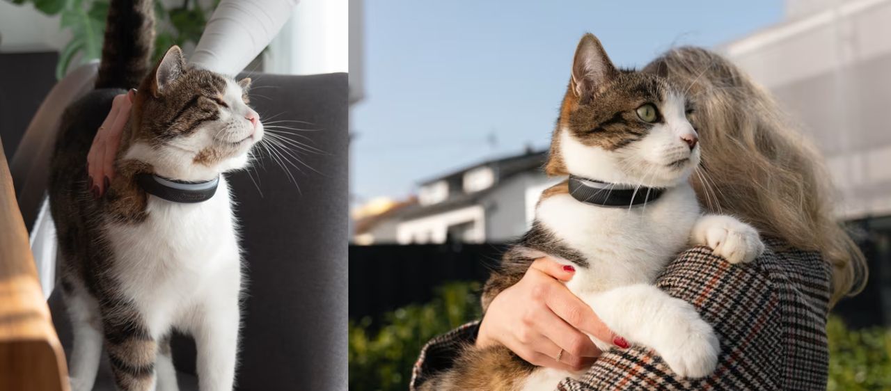 Tractive CAT 6 Mini chytrý GPS lokátor pro kočky hnědý