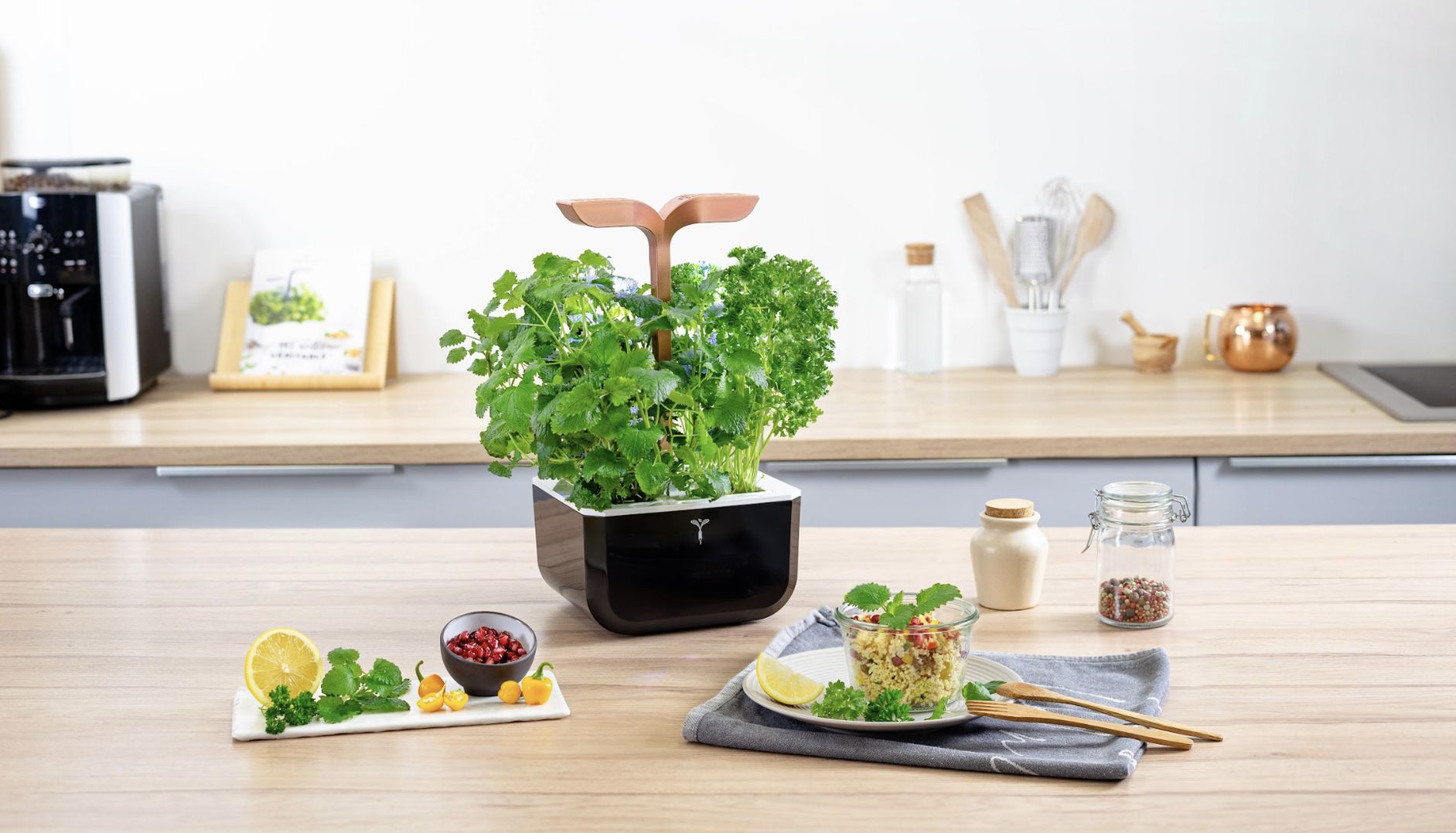 Véritable Exky SMART automatický květináč s regulací osvětlení (2ks Lingot) černý