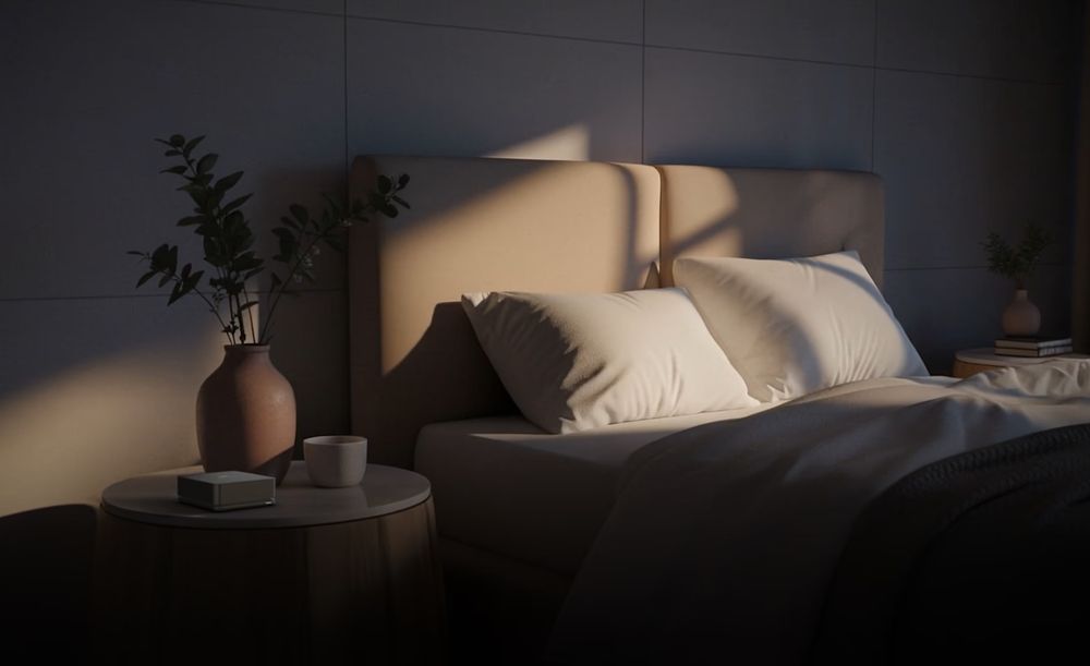 Morning Light Context