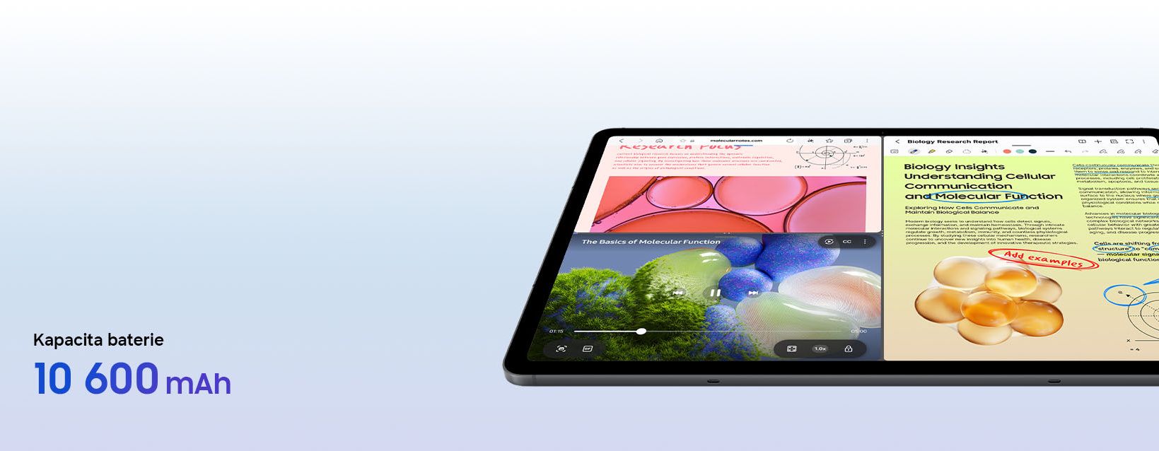 Samsung Galaxy Tab S12+ (5G) 12GB/256GB sivý