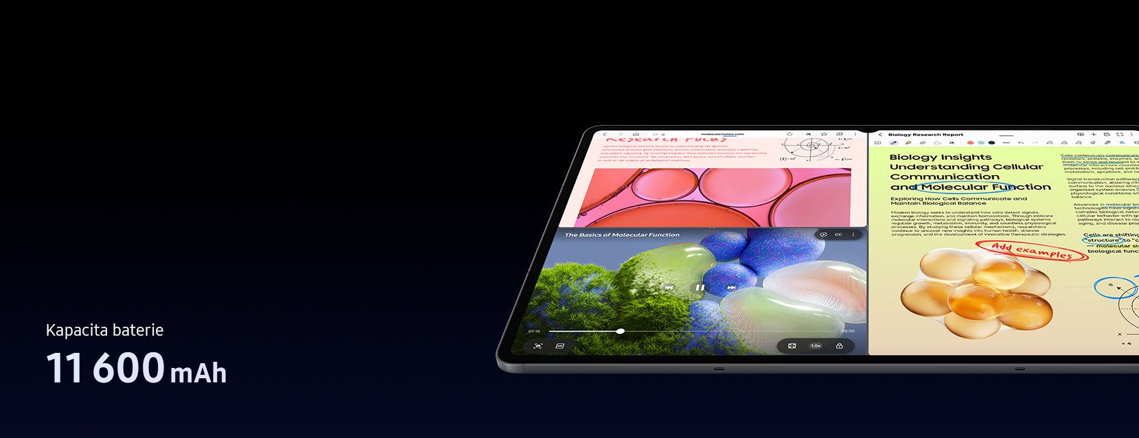 Samsung Galaxy Tab S12 Ultra (5G) 12GB/256GB sivý