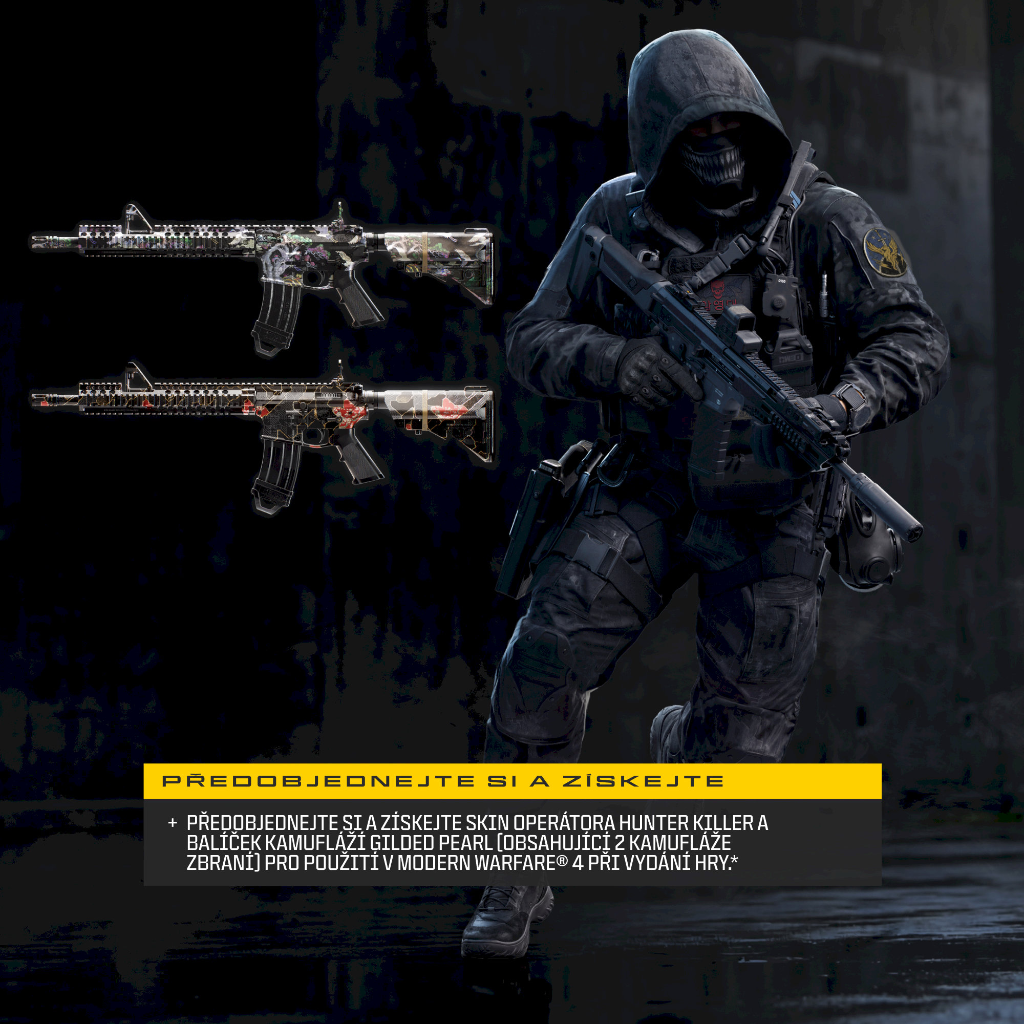 Call of Duty: Modern Warfare 4 (PS5)