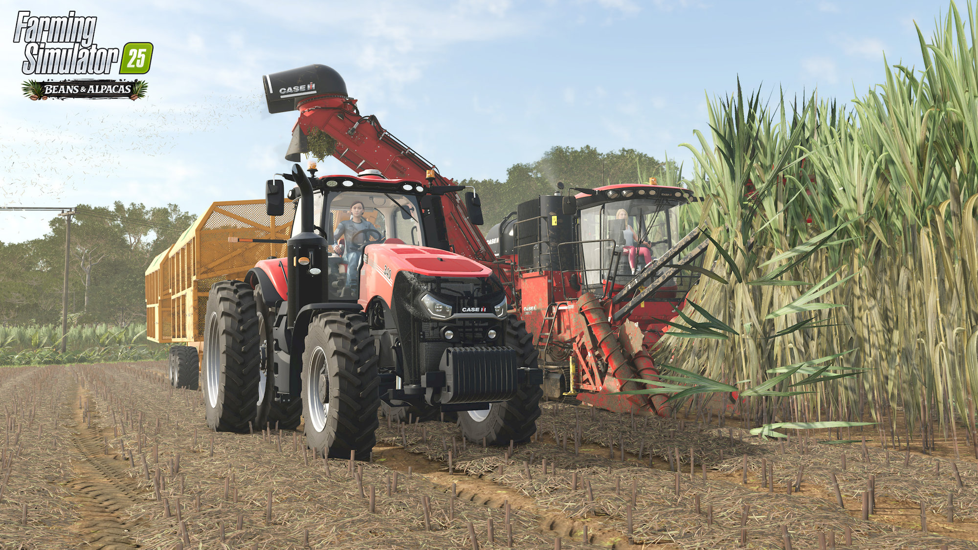 Farming Simulator 25: Beans & Alpacas Edition (PC)