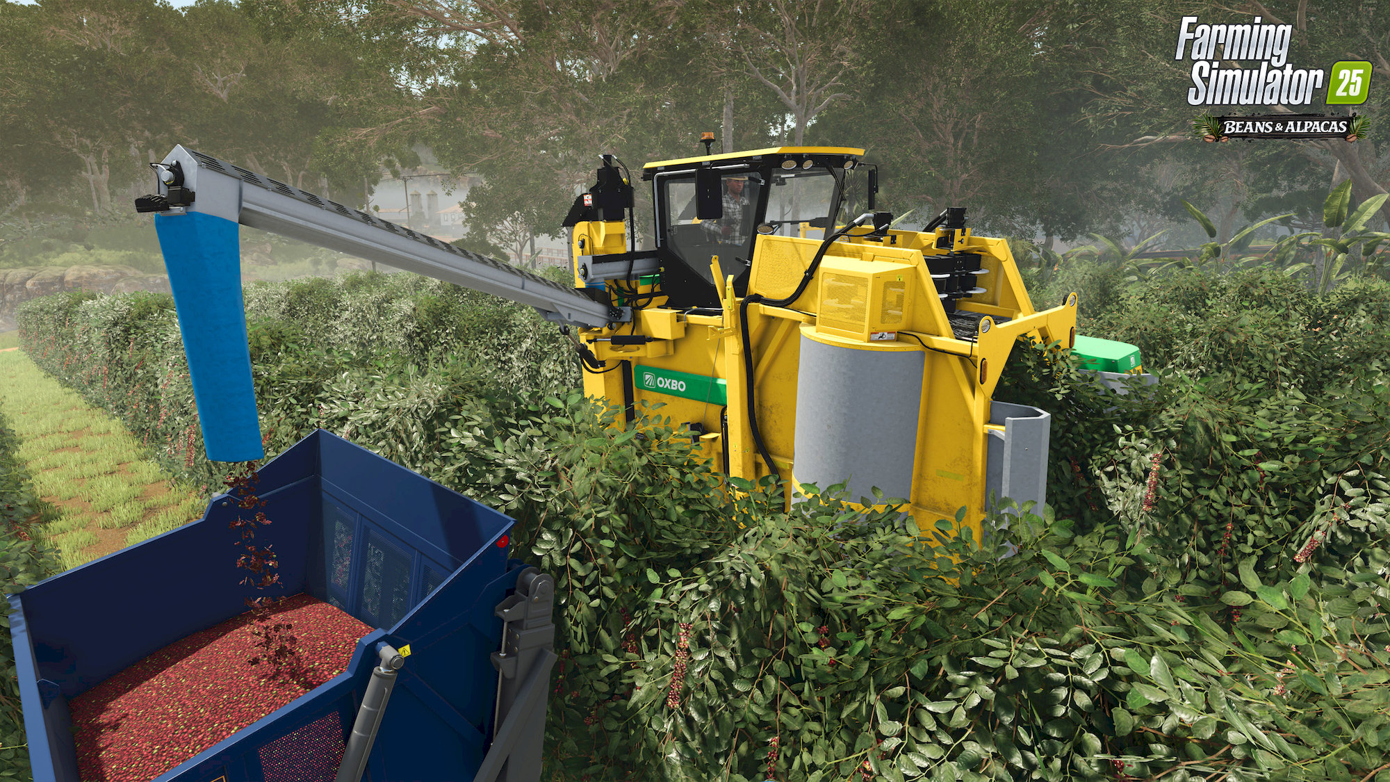 Farming Simulator 25: Beans & Alpacas Edition (PC)