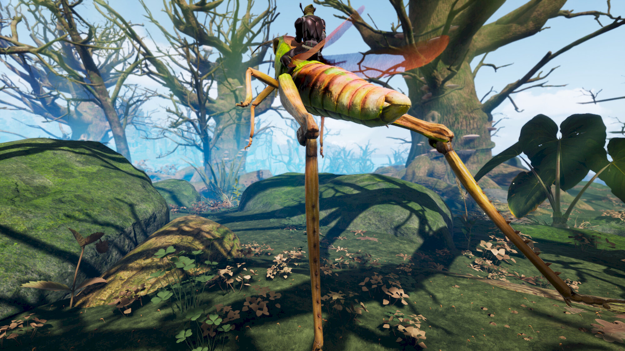 Smalland: Survive The Wilds (Game Key Card)(Switch 2)