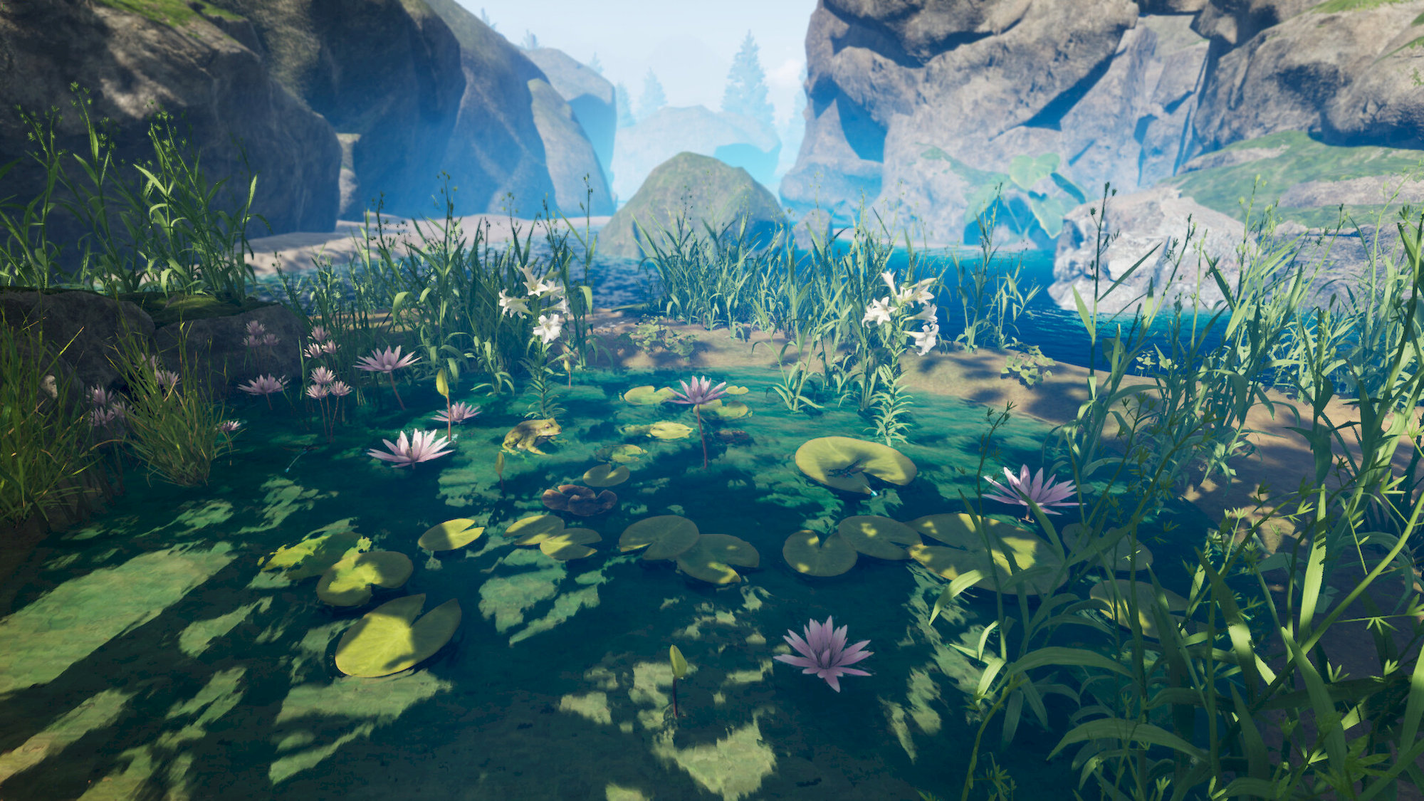 Smalland: Survive The Wilds (Game Key Card)(Switch 2)