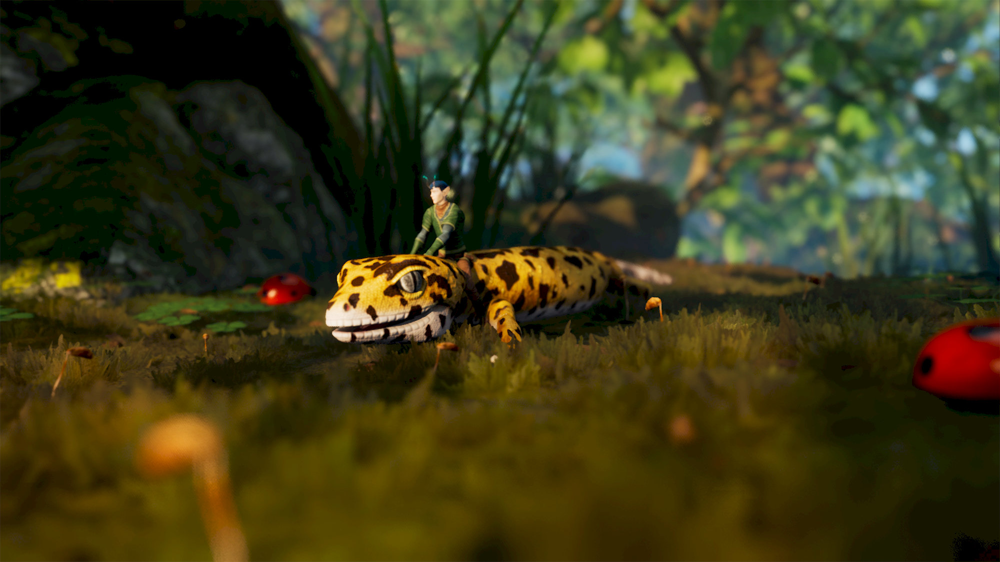 Smalland: Survive The Wilds (Game Key Card)(Switch 2)