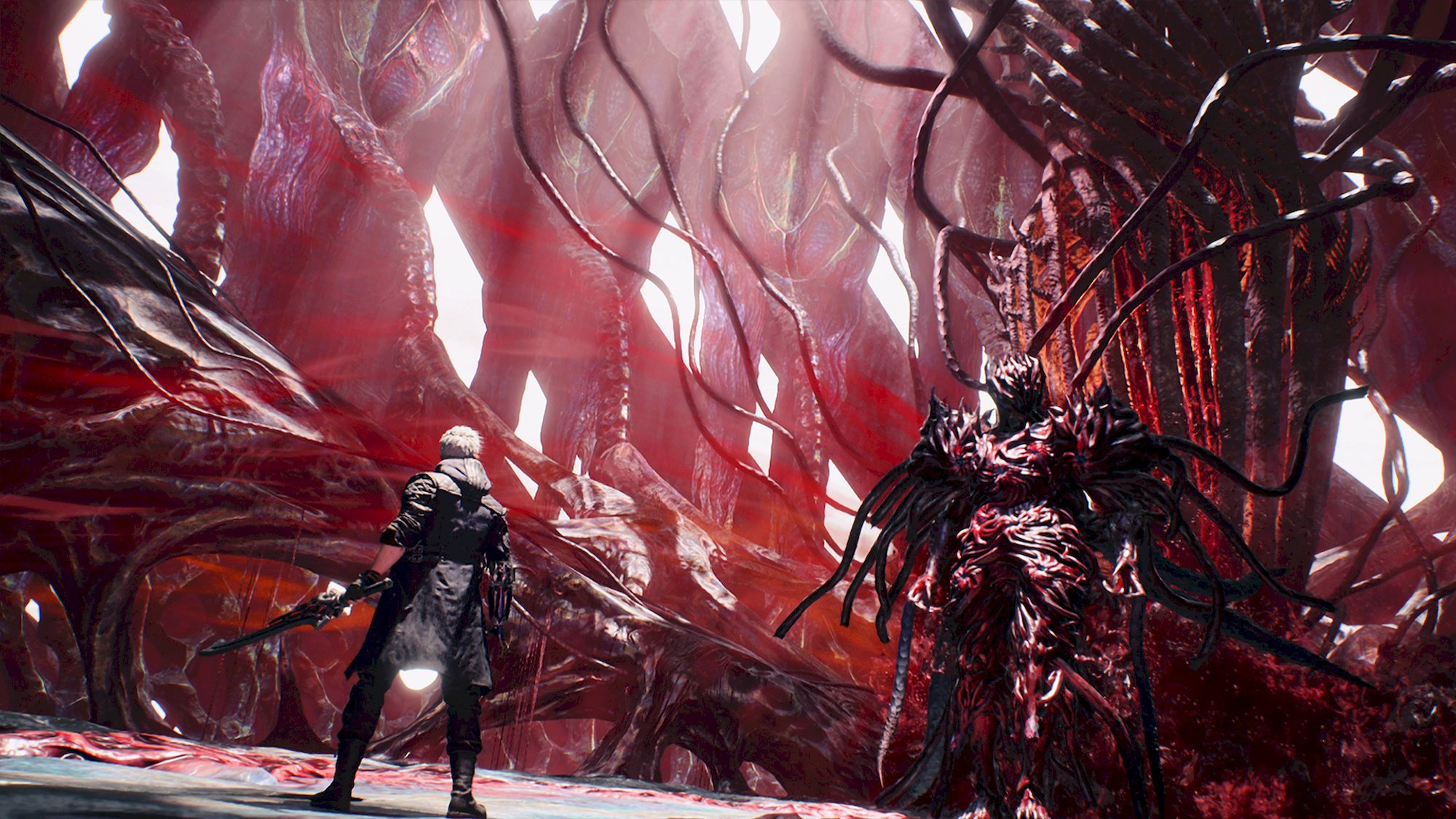 Devil May Cry 5 Devil Hunter Edition (Game Key Card)(Switch 2)