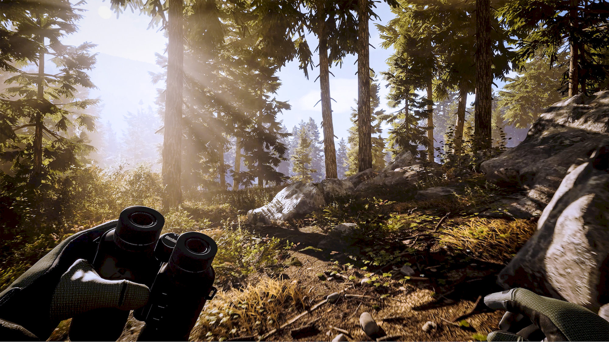 Hunting Simulator 3 (PS5)