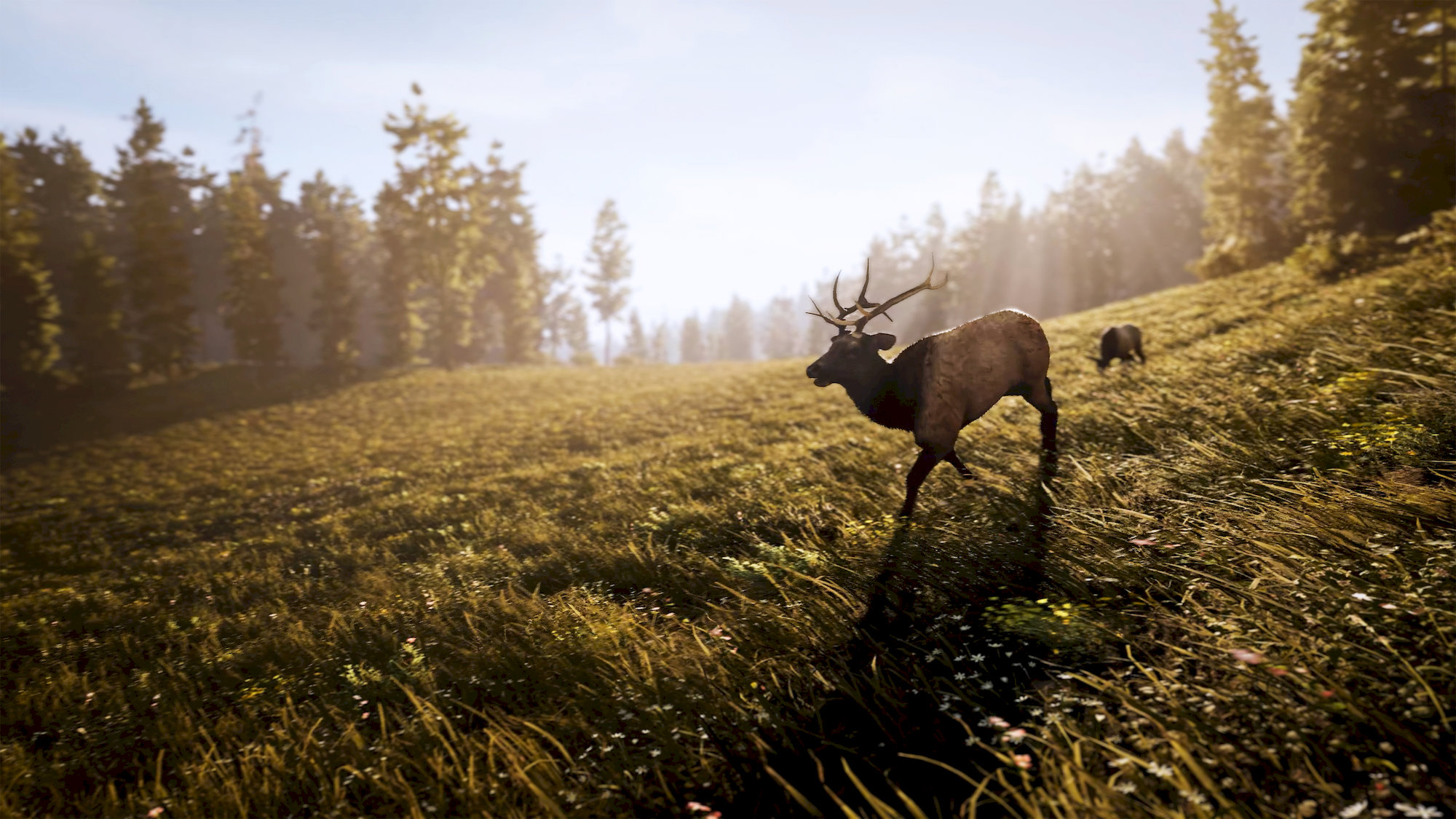Hunting Simulator 3 (PS5)