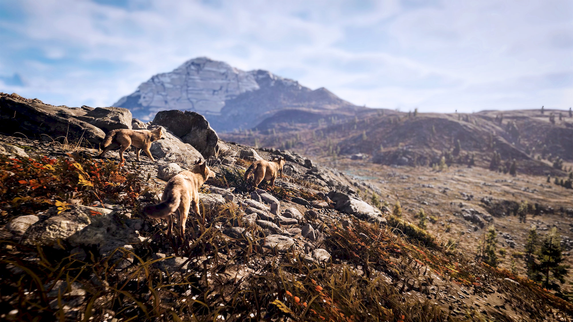 Hunting Simulator 3 (PS5)