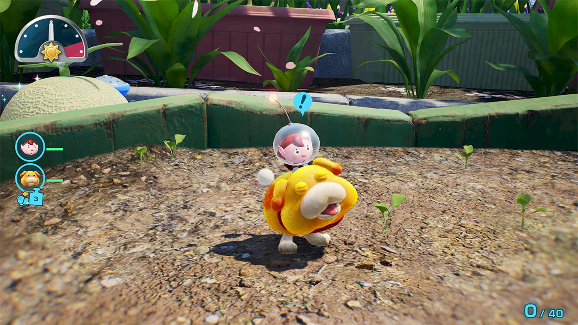 Pikmin 4 + Dandori Academy (Switch 2)