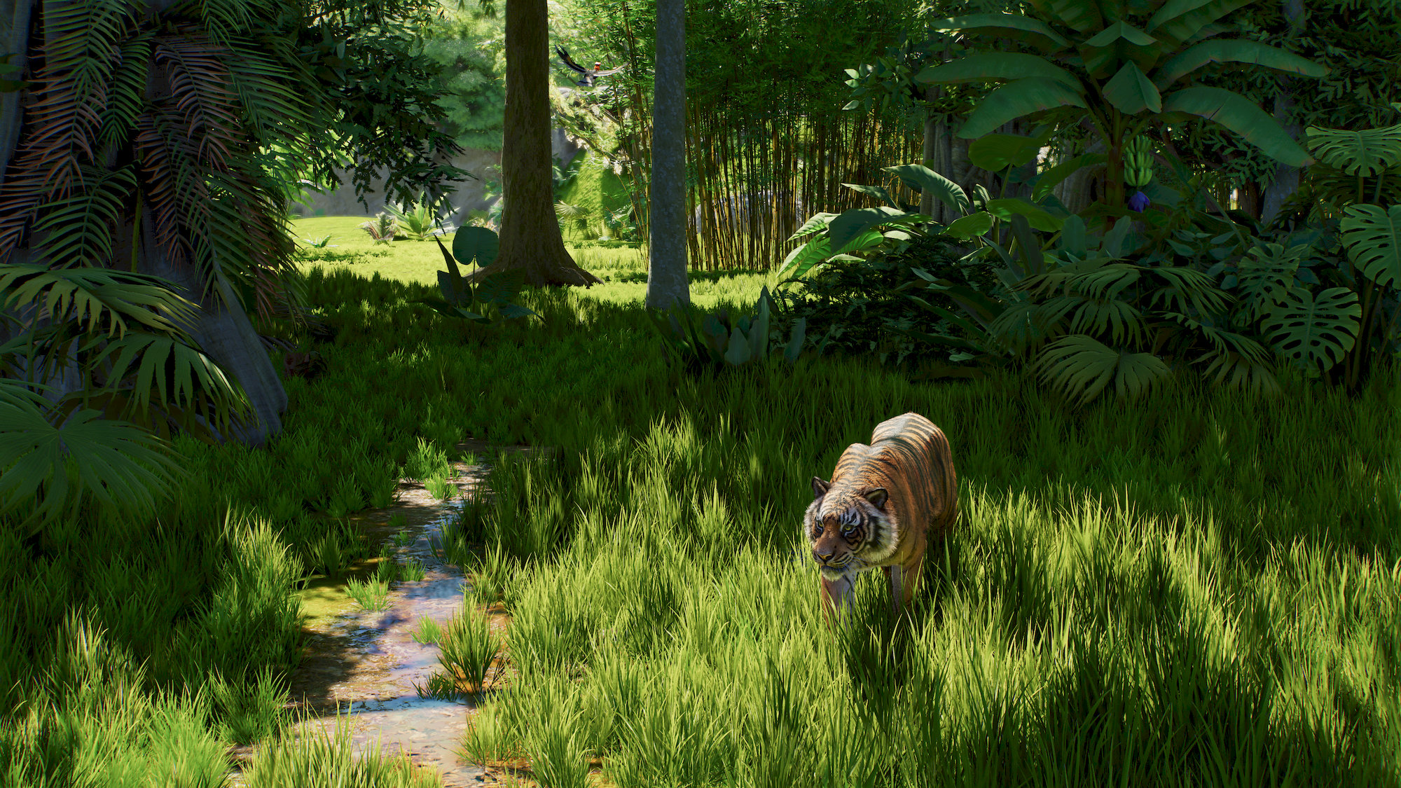 Planet Zoo 2 (PS5)