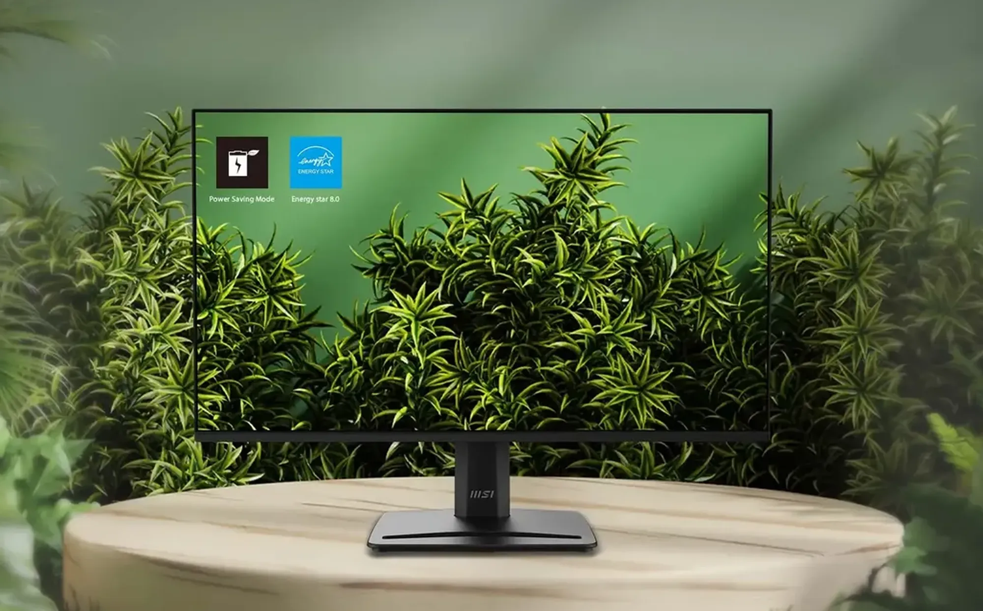 MSI PRO MP251 E14A monitor 25"