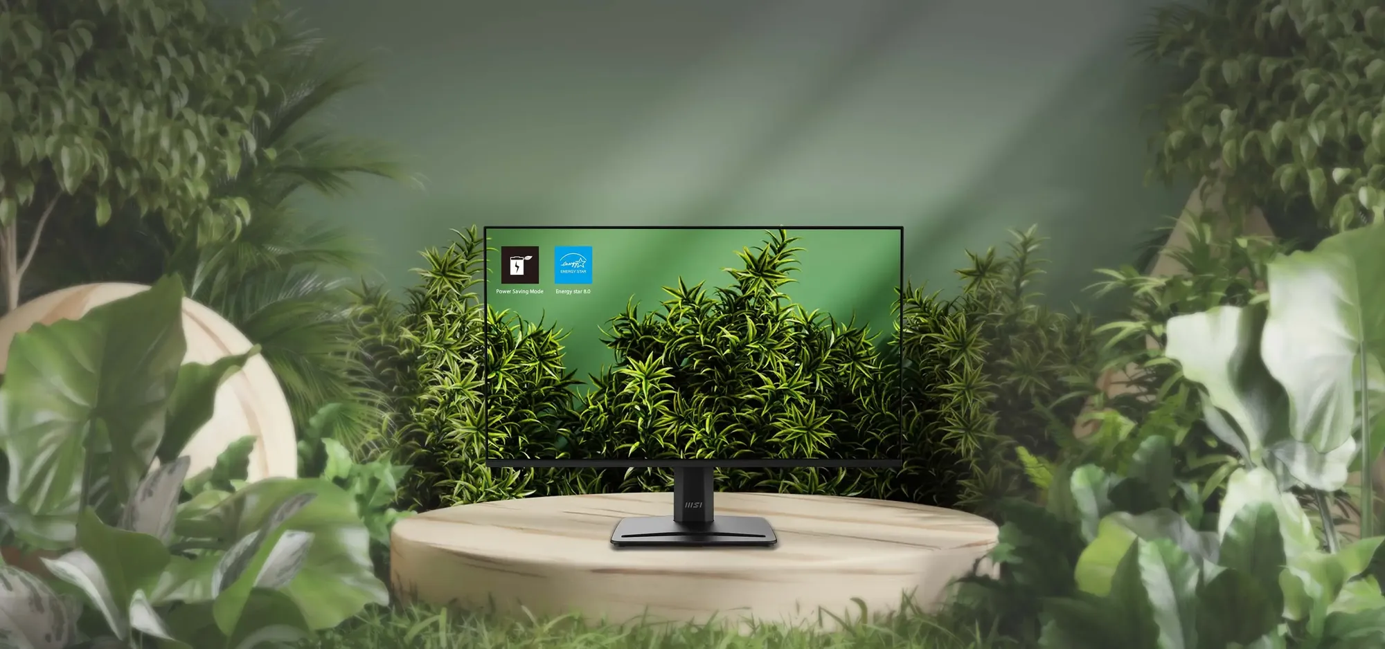 MSI PRO MP251 E14A monitor 25"