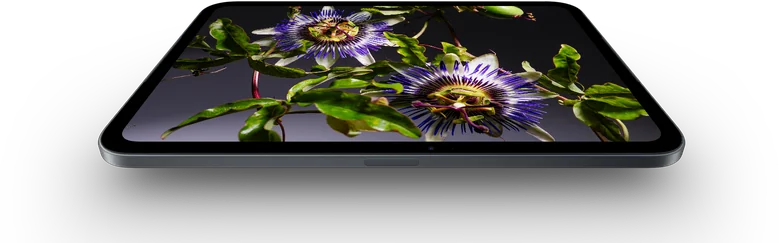 OLED displej iPadu mini s fotkou květu