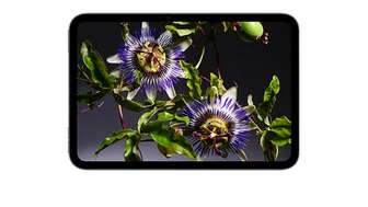 Displej iPadu mini s fotkou květu